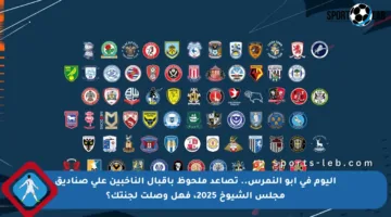 اليوم في أبو النمرس.. تصاعد ملحوظ بإقبال الناخبين على صناديق مجلس الشيوخ 2025، فهل وصلت لجنتك؟